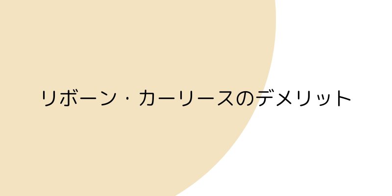 リボーン・カーリースのデメリットの見出し画像